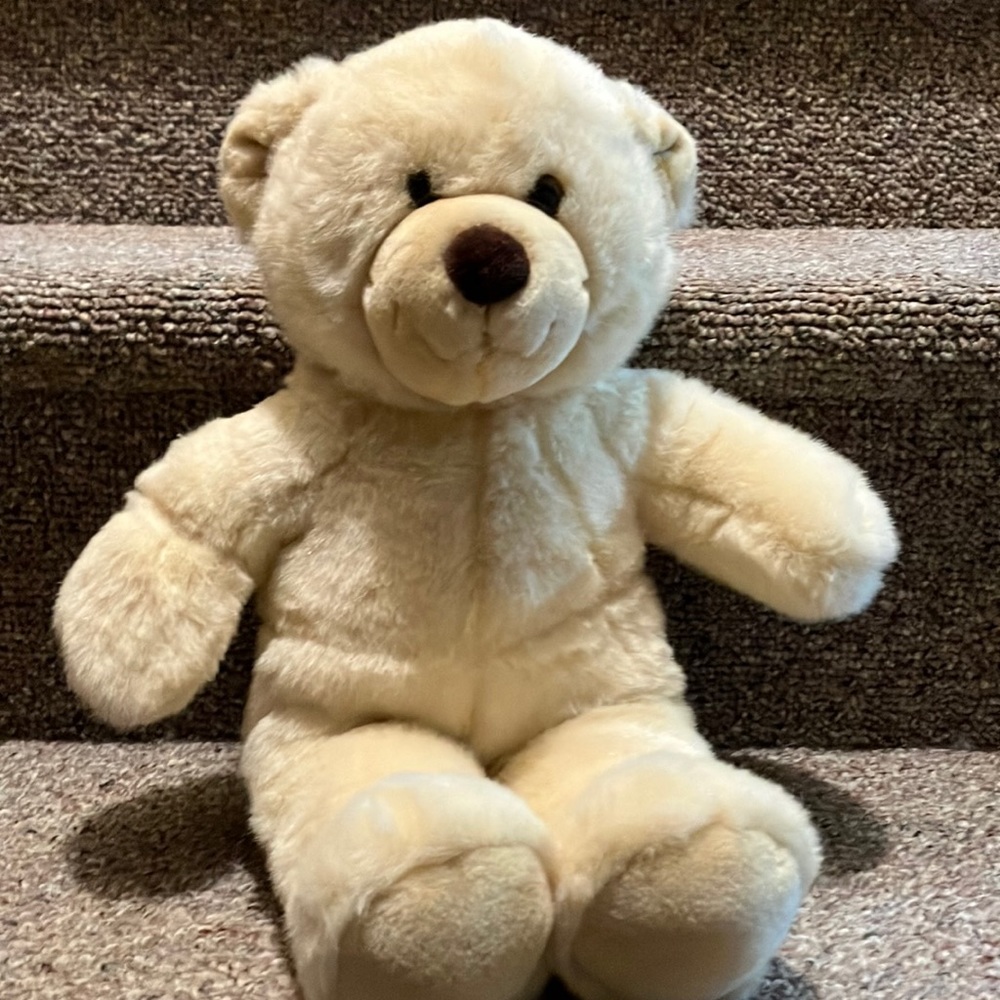 Gently Loved - Build A Bear Teddy Bear